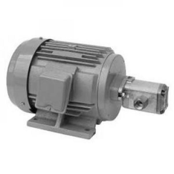 MFP100/1.2-2-0.75-10 Pompa Hidrolik tersedia #1 image